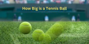 How big is a tennis ball