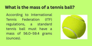 what is the tennis ball